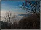 foto Colline Marosticane nella Nebbia